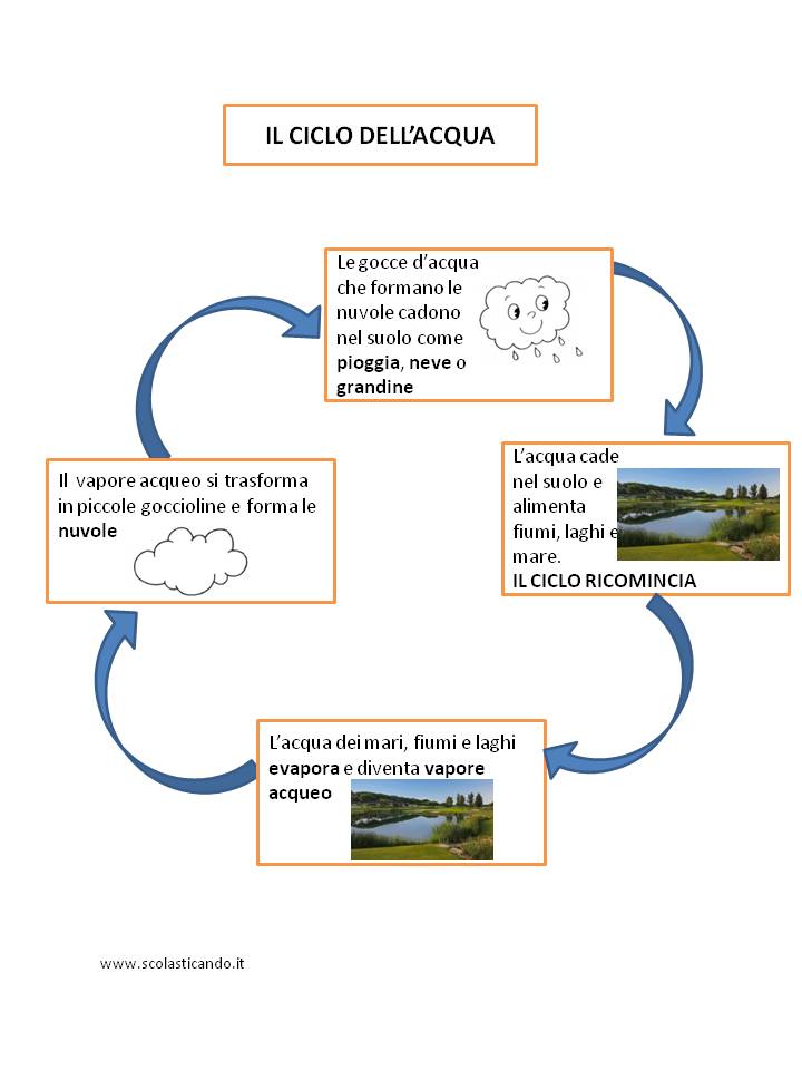 Classe Terza Scienze Il Ciclo Dell Acqua Scheda Semplificata