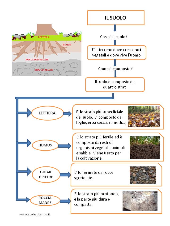 Classe Terza Scienze Il Suolo Scheda Semplificata