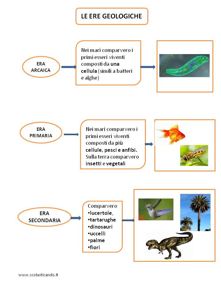 Classe Terza Storia Le Ere Geologiche Mappe Concettuali