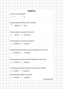 verifica-dalla-cellula-allorganismo1