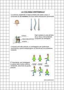 la-colonna-vertebrale