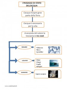 scienze 8