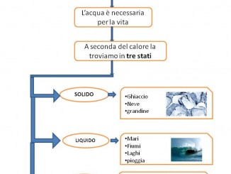 Scienze 3 Scolasticando It