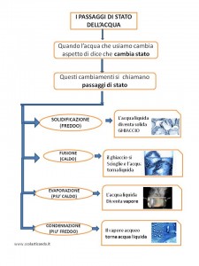 scienze 9